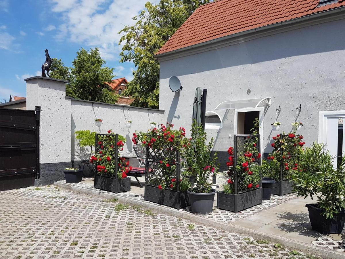 Pferdepension Jaeger Markranstädt Zewnętrze zdjęcie
